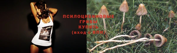 амф Каменск-Шахтинский