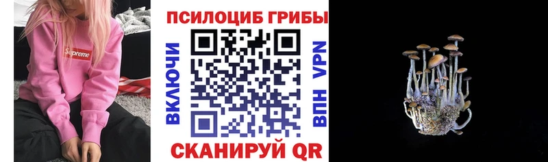 Купить закладки  Высоковск  Галлюциногенные грибы Magic Shrooms 